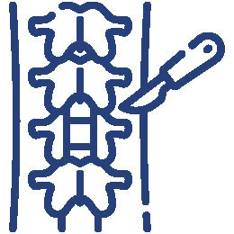 Spinal Surgery