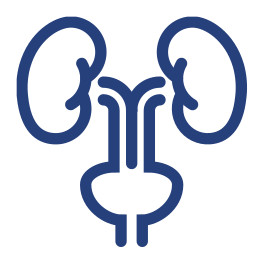 Urology