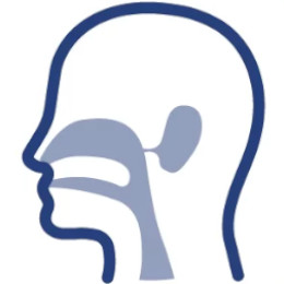 Ear, Nose & Throat Center