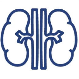 Endocrinology 