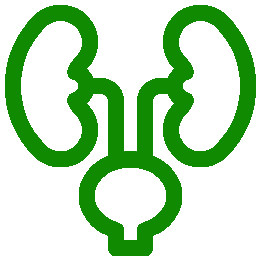 Urology