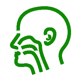 Ear, Nose & Throat Center