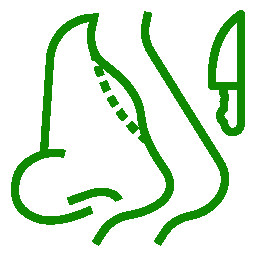Rhinoplasty (Nose Surgery)