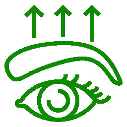 Brow Lift (Forehead Lift)